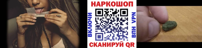 ГАШ Починок