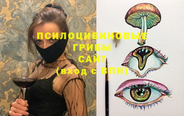 гидра Лабытнанги