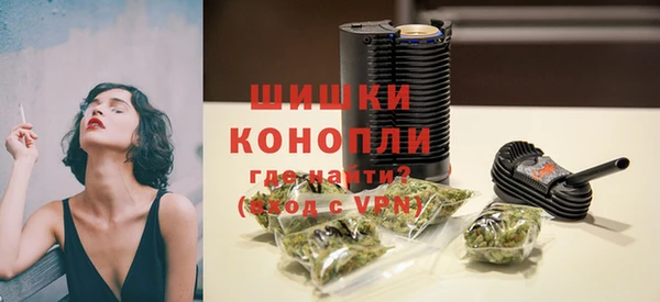 гидропоника Ладушкин