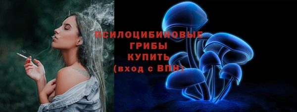 гидра Лабытнанги