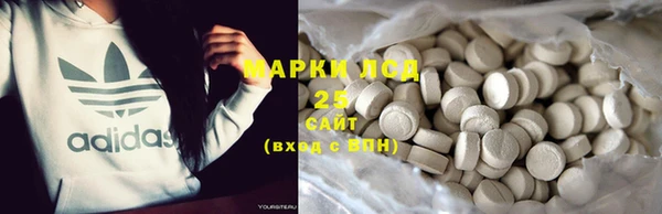 прущий лед Лагань