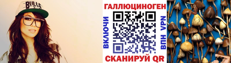 Галлюциногенные грибы Psilocybe  купить наркотик  ссылка на мегу сайт  Починок 